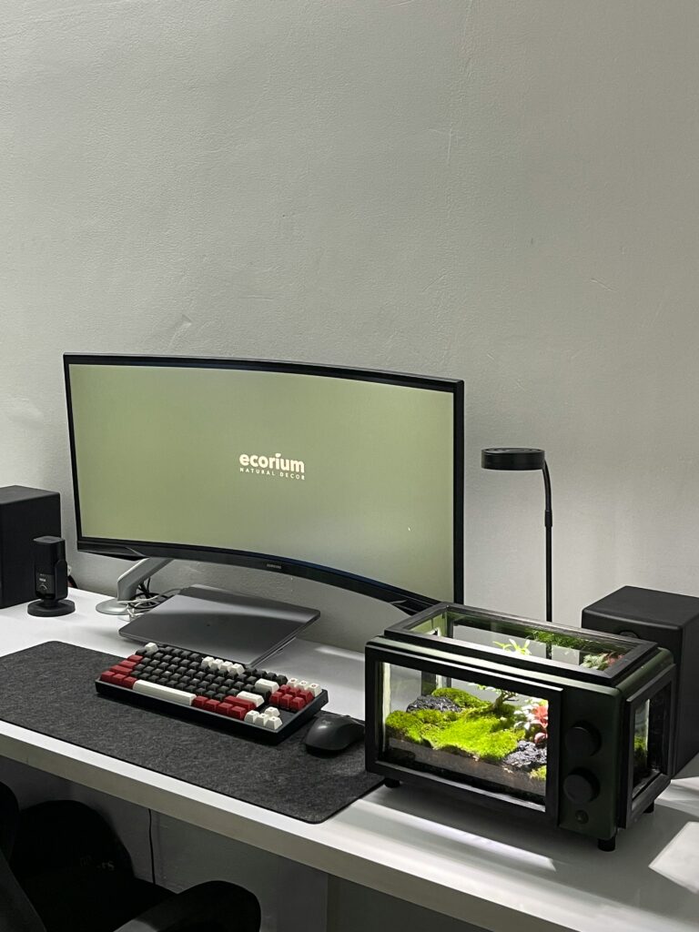 Budget Gaming PC 2025 setup with curved monitor and compact aquarium